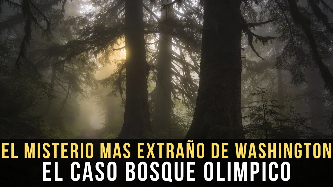 El Misterio Más Escalofriante de Washington, EE. UU. — El Caso Bosque Olímpico