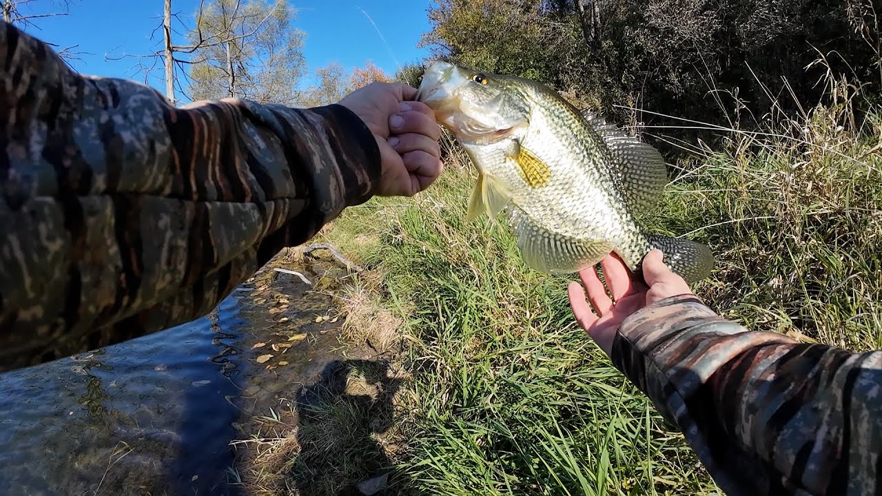 Fishing a hidden pond an catch a big crappie!