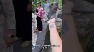 Merve Oflaz Bali Tatilinde Maymun Beslediği Anları Paylaştı Ürriyet 