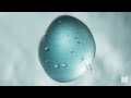 Aqua Sure