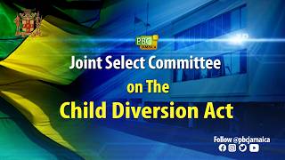 Joint Select Committee on the Child Diversion Act || April 23, 2026