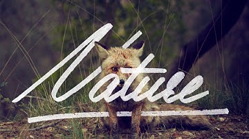 How To Vectorise Your Hand Lettering In Illustrator CC