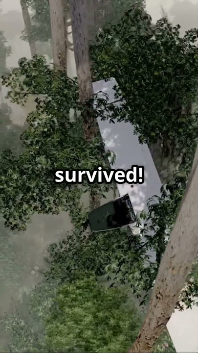 HE FELL FROM 33000 FEET.......AND WALKED AWAY😎#facts #shorts#miracle#shock #unbelievable #factichino