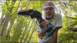 Cutting trees with Mini Electric Chainsaw