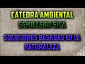 CATEDRA AMBIENTAL SICA 2020-1: Soluciones basadas en la naturaleza