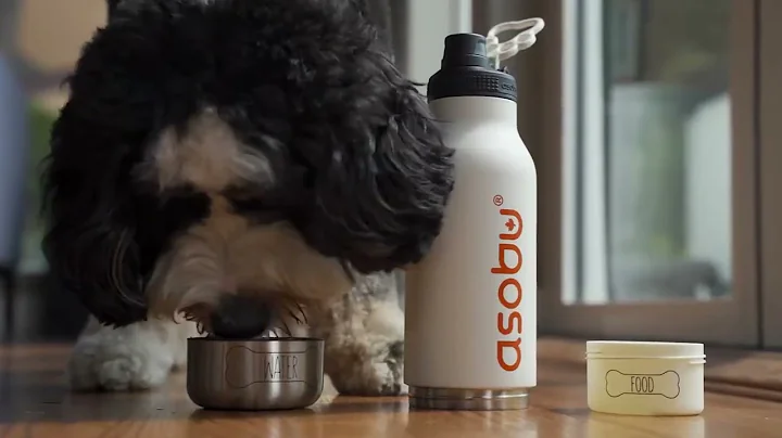 The Asobu Buddy Bottle