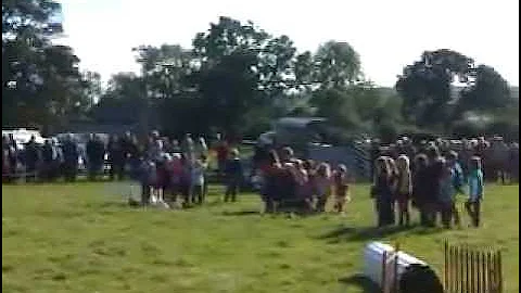 Masham sheep fair dog shepherding demonstration