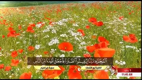 القارئ انور الشحات سورة إبراهيم+سورة الكوثر