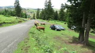 Haçkalıbaba Yaylası -2