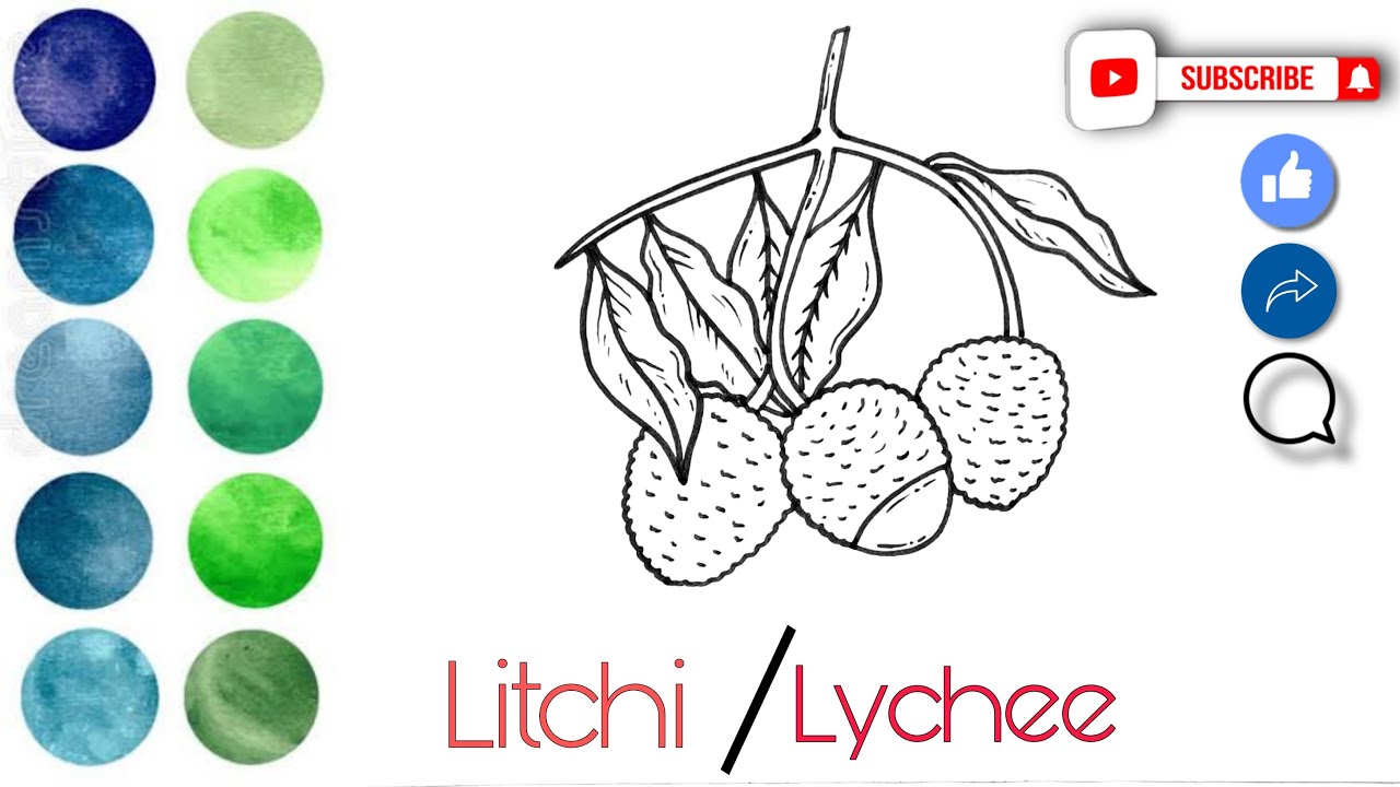 How to draw lichi very easy | How to draw lichi very easy লিচু আঁকা সহজে # Lichi #lichu #লিচু #drawing #drawingtutorial #draw #drawingpractice  #rumanameem | By Rumana Meem | Facebook