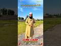 Global 1 Colony Warsak Road Peshawar