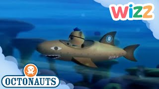 octonauts it reminds me of the great storm full episode cartoons for kids wizz