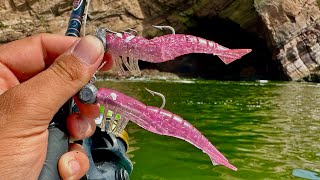 PESCA con CAMARÓN ARTIFICIAL en ALTAMAR || PESCANDO CORVINAS y BARRACUDAS.