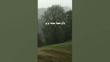 #اكسبلور #قران_كريم #تلاوات_خاشعة #قران_كريم #تلاه_خاشعة