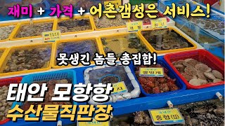 태안 수산시장 모항항(풍경, 해산물 가격, 종류) 꽃게…