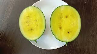 Порционный арбуз в дома на гидропонике. Serving watermelon at home on hydroponics