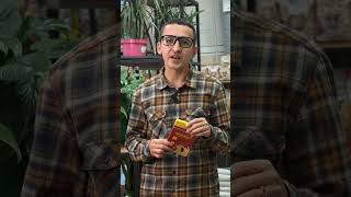 Тараканы исчезают навсегда! Секрет средства, которое работает изнутри колонии 🐜
