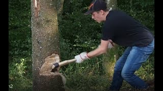 Baum fällen mit der Axt