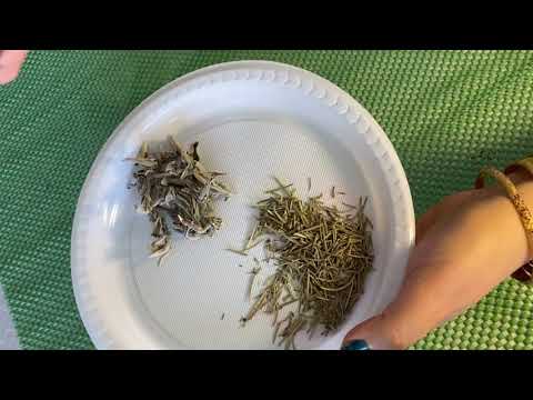 فكي سحر الرحم هدا الشهر والشهر اللي بعدو بتكوني حامل بادن الله