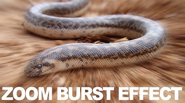 How to make Zoom Burst Effect in Photoshop CS6, CC | Photoshop Tutorial