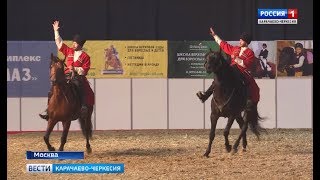 В Москве состоялся чемпионат среди лошадей карачаевской породы "Карачай-России 2018"