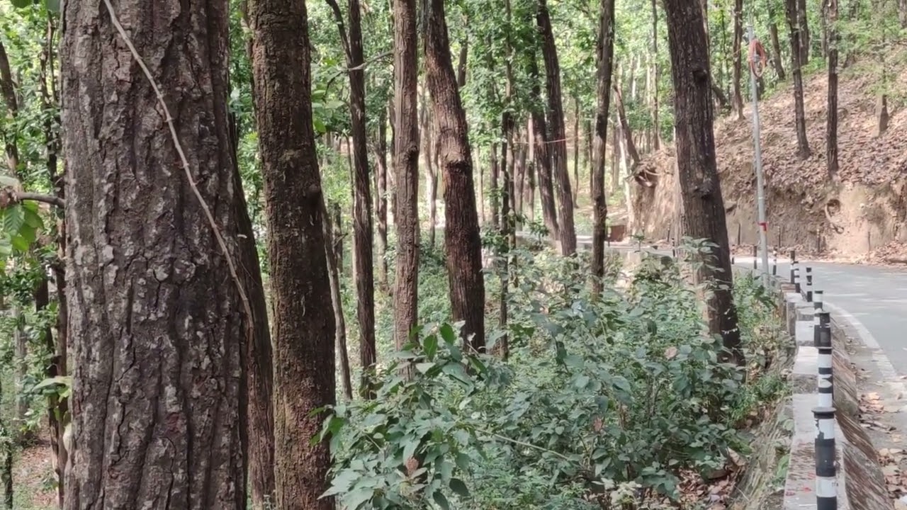 Packing it all in from art to misc daily items to medicines and change of clothing and bedding   of