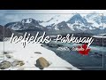 Rondreis Rocky Mountains || Icefields Parkway || Athabasca Falls + Glacier || Aflevering 5