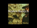 7 - Stephen Marley feat. Damian Marley - Perfect Picture