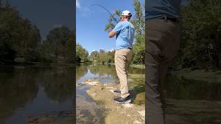 Sight fishing for creek Smallies! #fishing #creekfishing #smallmouthbass