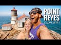 California’s BEST Day Trip! | Point Reyes Station | Lighthouse | Drakes Beach 
