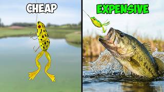 I Tested Cheap vs Expensive Frog Lures!