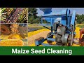 Maize seed cleaning with machinery  sweet corn 
