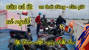 câu cá bờ kè an thới đông - cần giờ    cá chậm ăn, được vài con cá út và lịch cũ / nhàn TV