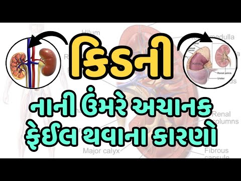 કિડની નાની ઉંમરે અચાનક ફેઈલ થવાના કારણો || Information About Kidney Disease || Part 1