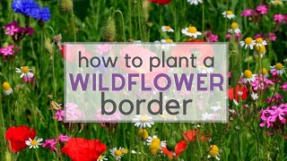 How to plant a Wildflower Border!