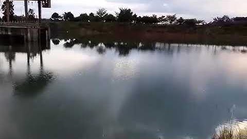 Cá mè khủng đập thủy điện đăk nông