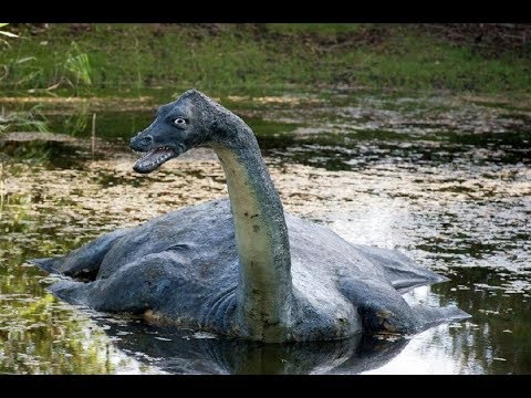 Vidéo: Monstre Du Loch Ness : Mythes Et Réalité