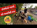 અગ્નિઅસ્ત્ર: ઈયળોનો ખાતમો કરતુ પ્રાકૃતિક અર્ક | Agni Astra for Caterpillars | Prakritik Kheti