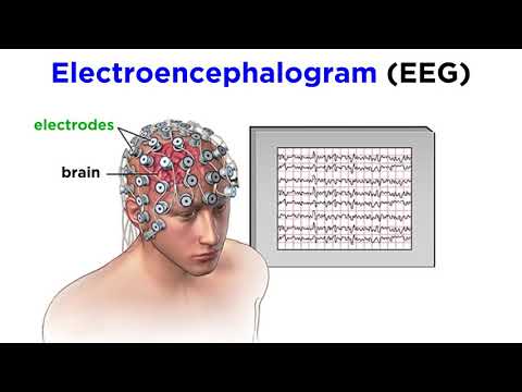 Research Methods of Biopsychology