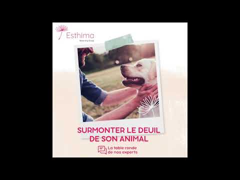 Vidéo: L'option de fin de vie que tous les parents d'animaux de compagnie devraient envisager