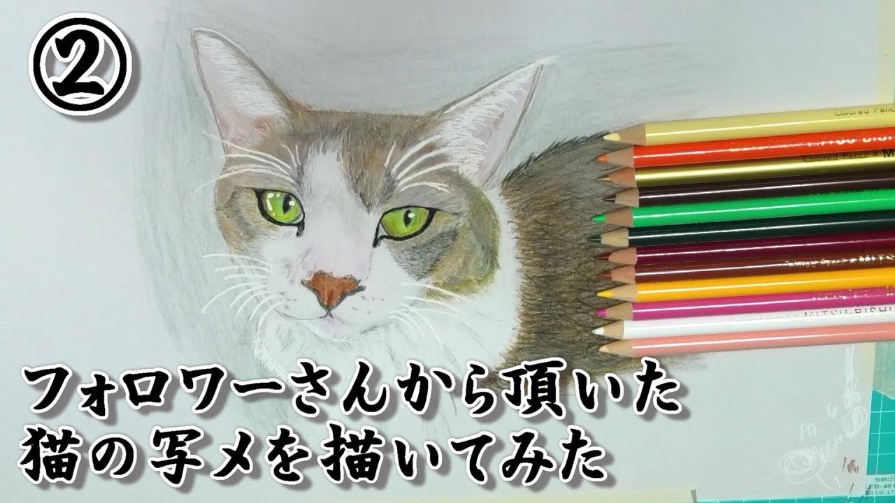 フォロワーさんから頂いた猫の写メを描いてみた 12色鉛筆で猫 猫ちゃんシリーズ 絵 アート 猫 7 猫の絵 猫 Acrylicpainting Youtube