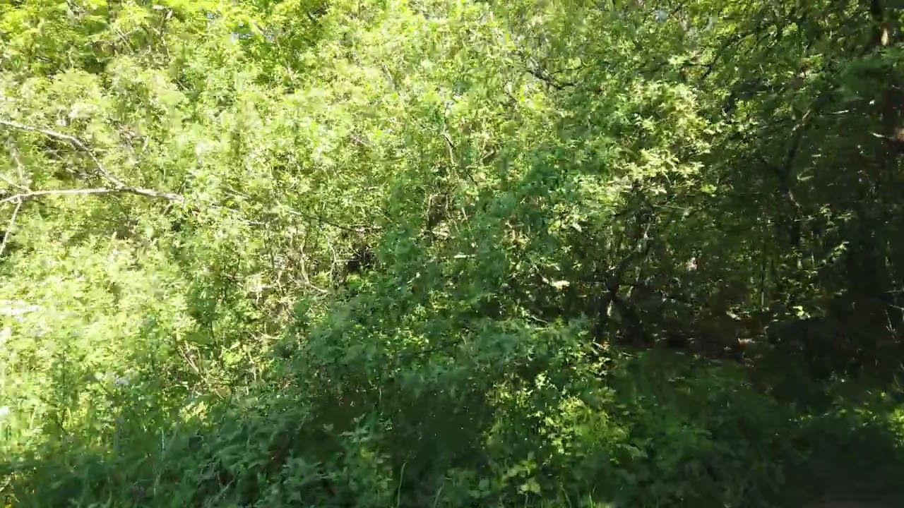 Would you say that job titles like engineer and developer are standardized across tech companies?