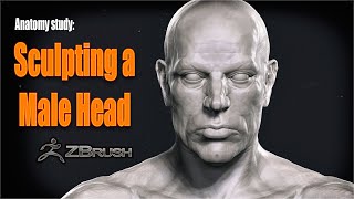 Zbrush - Sculpting a Male Head by Paul Armstrong