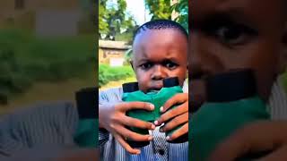 The boy is scared of the dog 🐕#animals #funnyshorts #anifacts #shorts