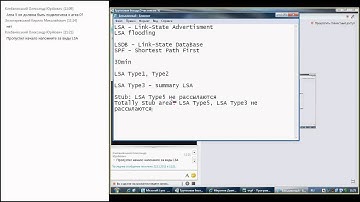Введение в OSPF