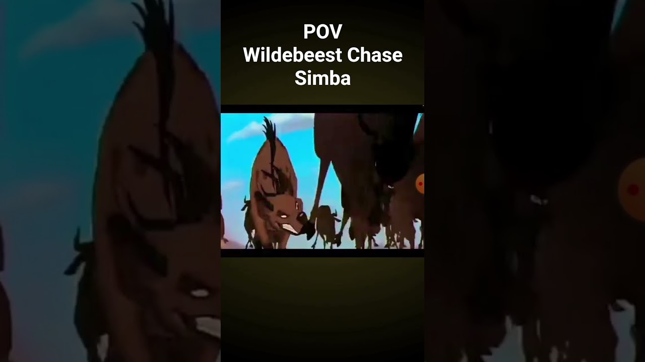 Wildebeest Stampede Chase Simba