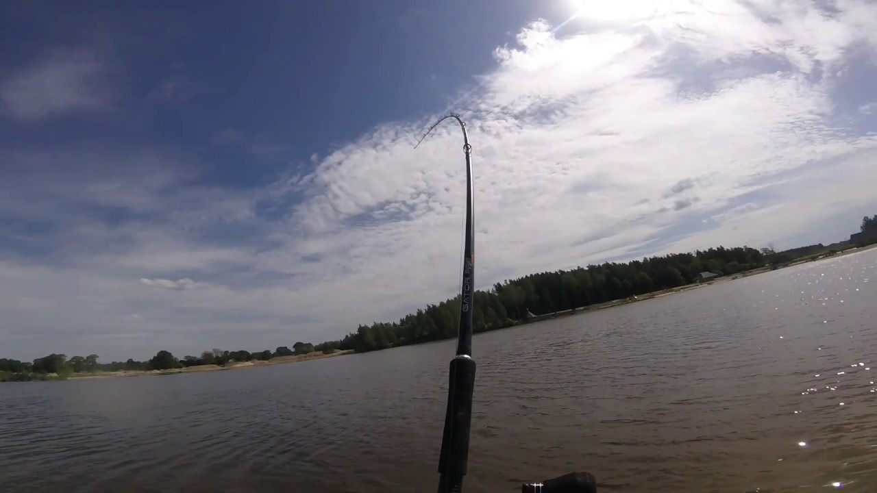 Wels catfish on soft lure YouTube