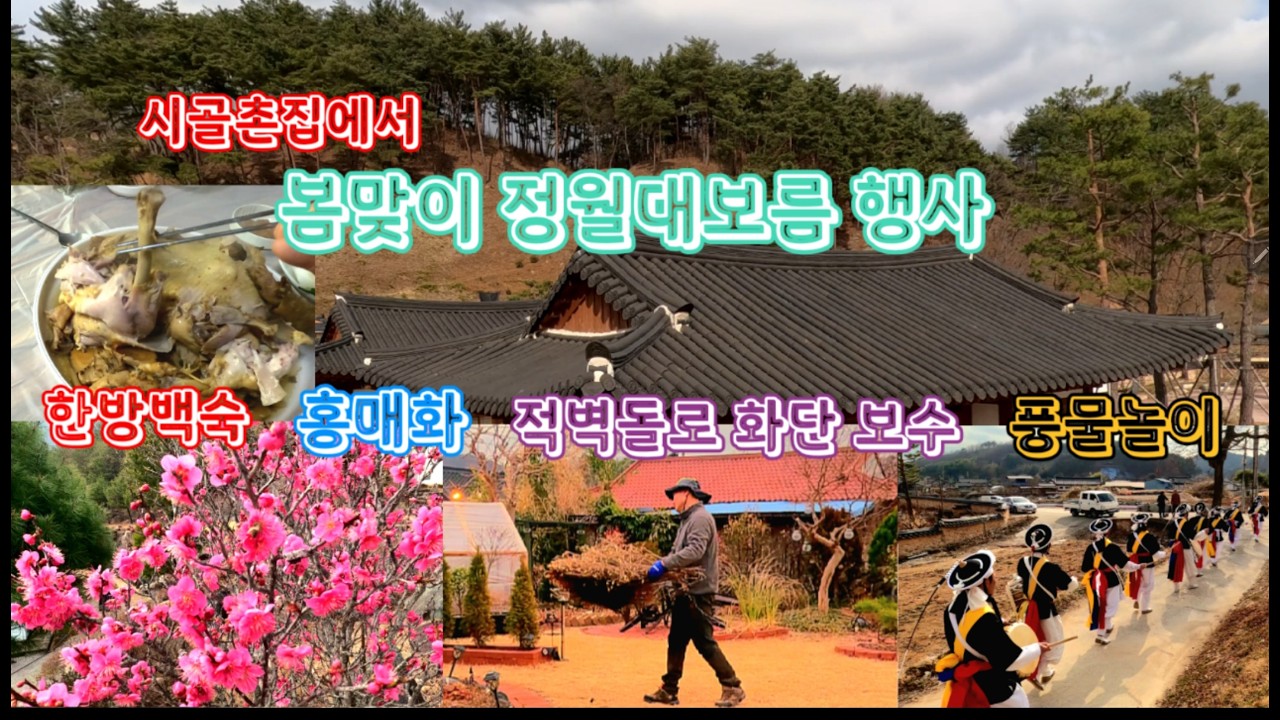 옛날 담장~옛날 풍습 ~정월대보름 풍물놀이 /홍매화가 예쁘게 핀 시골마을/한방백숙 먹기/ 촌집정원  적벽돌로 보강하기