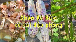 Huyền Mê Nấu Mê Ăn