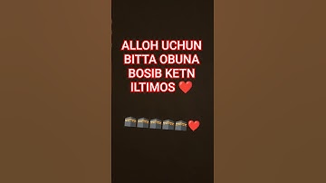 #محبي_القارئه_منة #quran #koran #al_baqarah #القارئه_منة_الله_رمضان #منة_الله_رمضان #holy_quran #قرآ